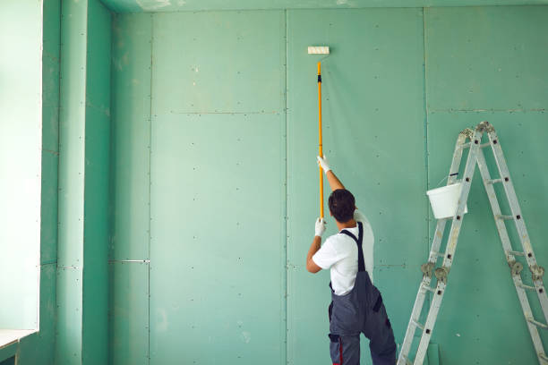 Best Asbestos and Lead Testing During Mold Inspection  in Holly Hills, CO