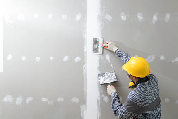 Reliable Holly Hills, CO Mold Removal Solutions