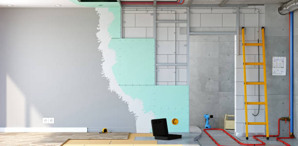 Best HVAC Mold Inspection and Cleaning  in Holly Hills, CO
