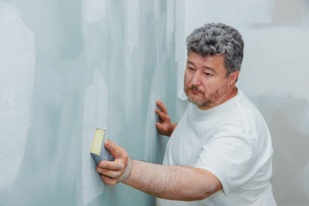 Best Water Damage & Mold Remediation  in Holly Hills, CO