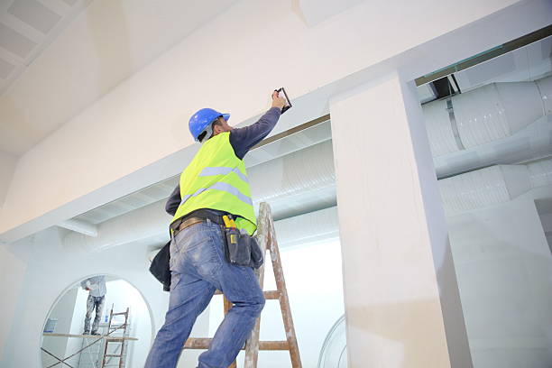 Best Airborne Mold Testing  in Holly Hills, CO